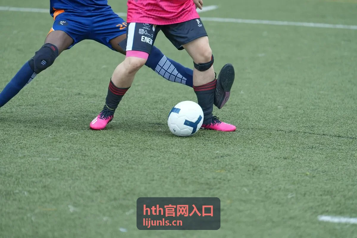 hth官网入口企业服务背景图